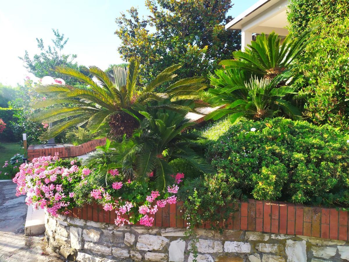B&B Tra Mare E Marmo Marina Di Carrara Exterior photo