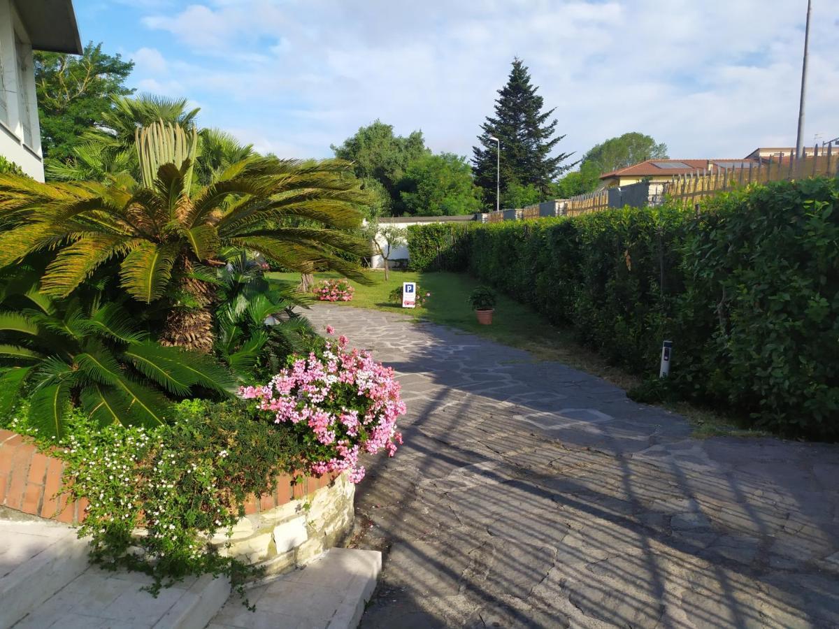 B&B Tra Mare E Marmo Marina Di Carrara Exterior photo